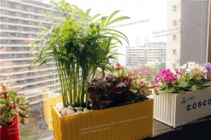 创意集装箱花盆|桌面盆摘|环保绿色植物集装箱