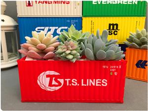 T.S.LINES Container Flower Pot|Potted Container|Bonsai Contai