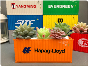 Hapag Lloyd Container Flower Pot|Potted Container|Bonsai Cont