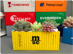 MSC Container Flower Pot|Potted Container|Bonsai Container